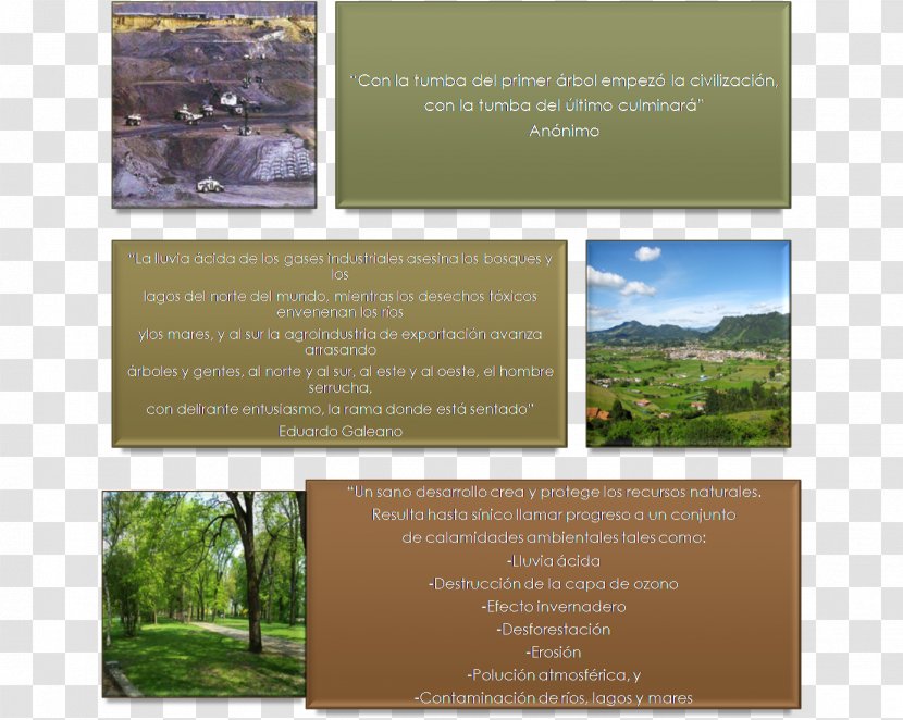 Cerrejón Landscape Brochure Colombia - Brand - Medio Ambiente Transparent PNG