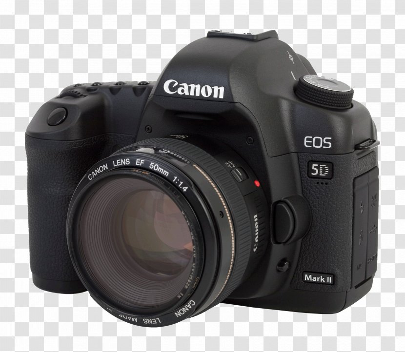 Canon EOS 5D Mark III IV Digital SLR - Camera - Photo Cameras Transparent PNG