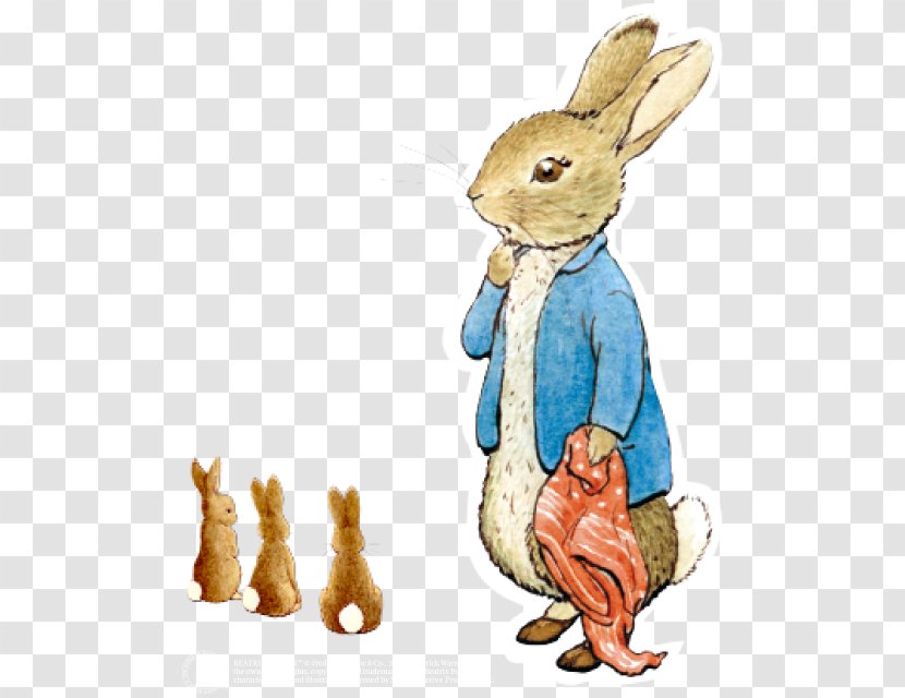 Domestic Rabbit The Tale Of Peter - Hare - Beatrix Potter Transparent PNG