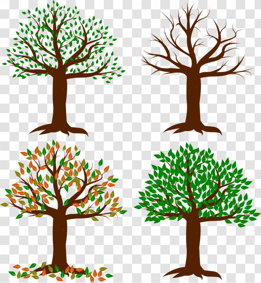 Arbor Day - Green - American Larch Transparent PNG