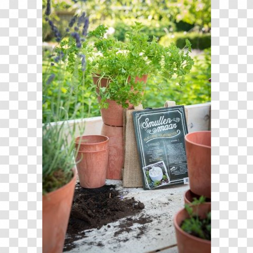 Flowerpot Plastic Green Height Centimeter - Tree - Stone Pot Transparent PNG