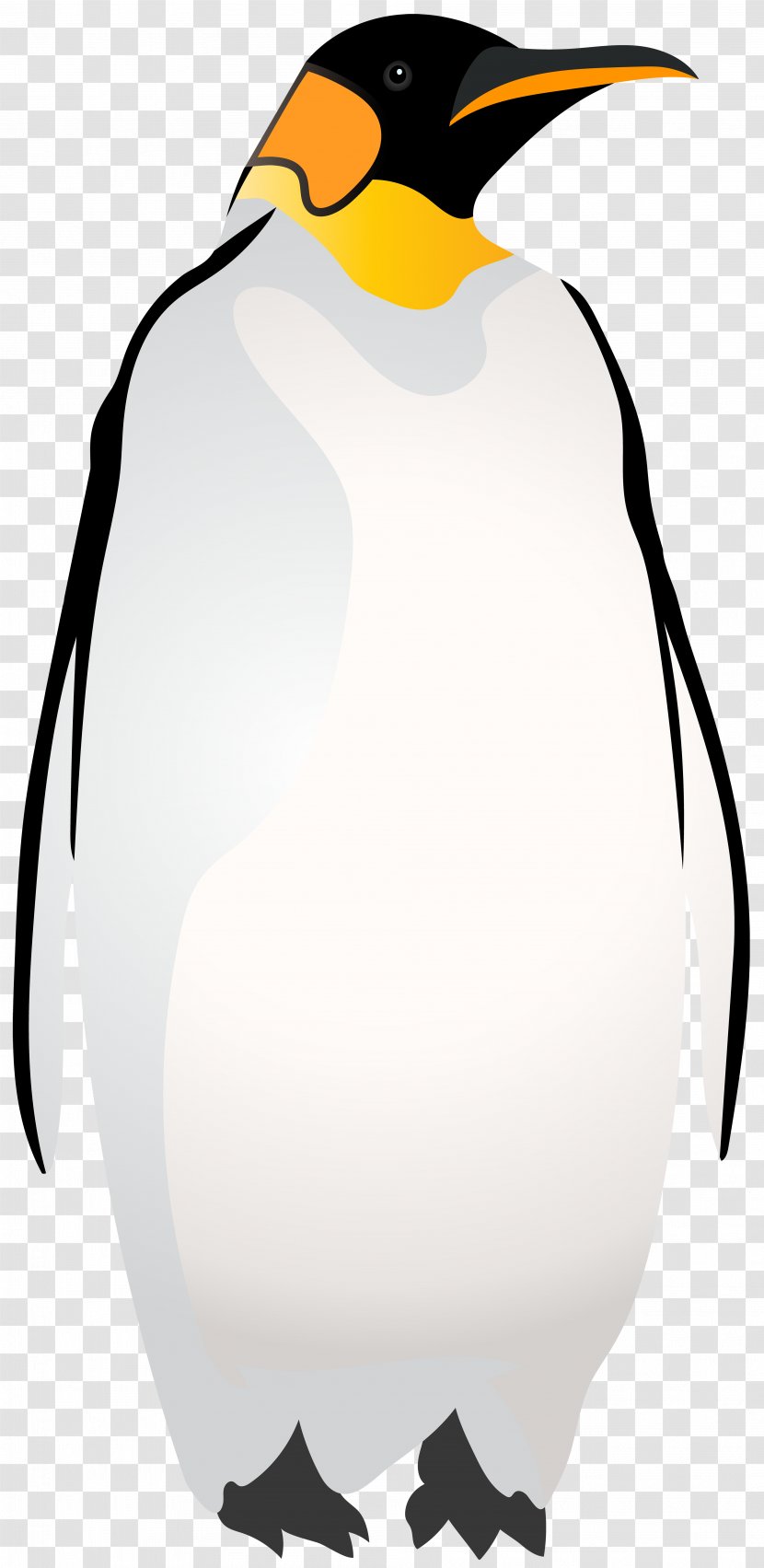 King Penguin Black And White Clip Art - Beak - Emperor Transparent PNG