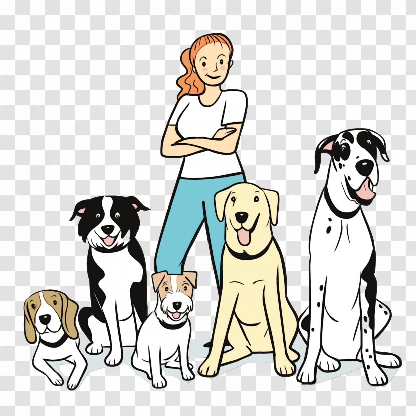 Dog Training Puppy Obedience Trial Animal - Nonsporting Group Transparent PNG