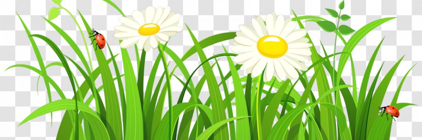 Clip Art Vector Graphics Free Content Illustration - Green - Spring Planting Cartoon Image Transparent PNG