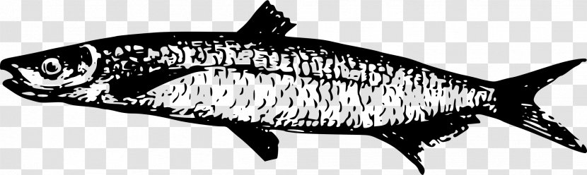 Lake Tanganyika Fish Drawing Walleye - Red Transparent PNG