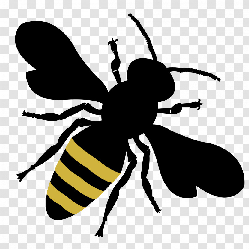 Bumblebee Transparent PNG