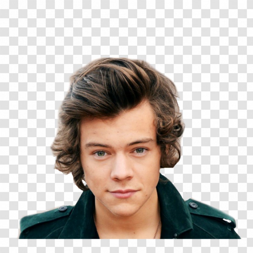 Harry Styles The X Factor One Direction Sign Of Times - Frame Transparent PNG