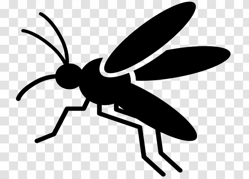 Insect Black & White - Parasite - M Clip Art Pollinator Transparent PNG