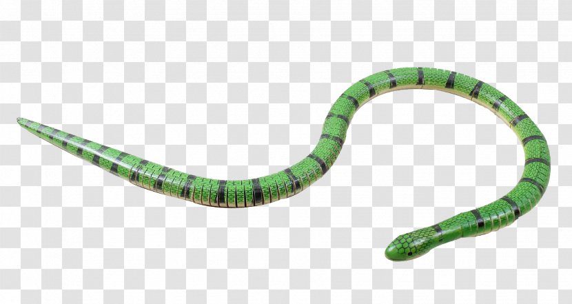 Venomous Snake Cobra Animal - Poikilotherm - Green Toy Transparent PNG