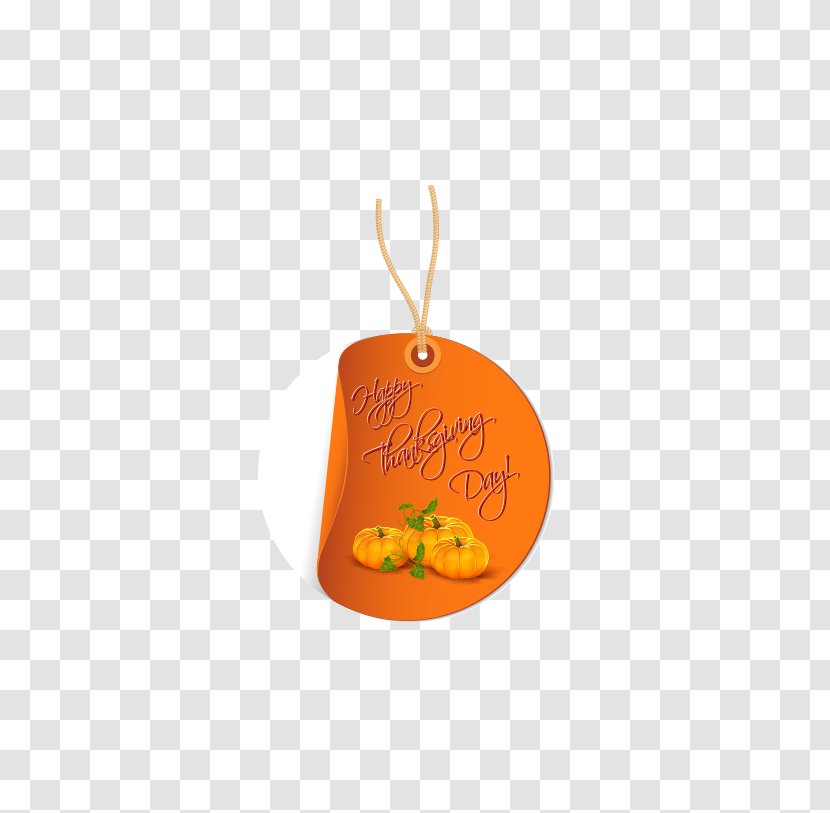 Orange Fruit Font - Thanksgiving Ornaments Transparent PNG