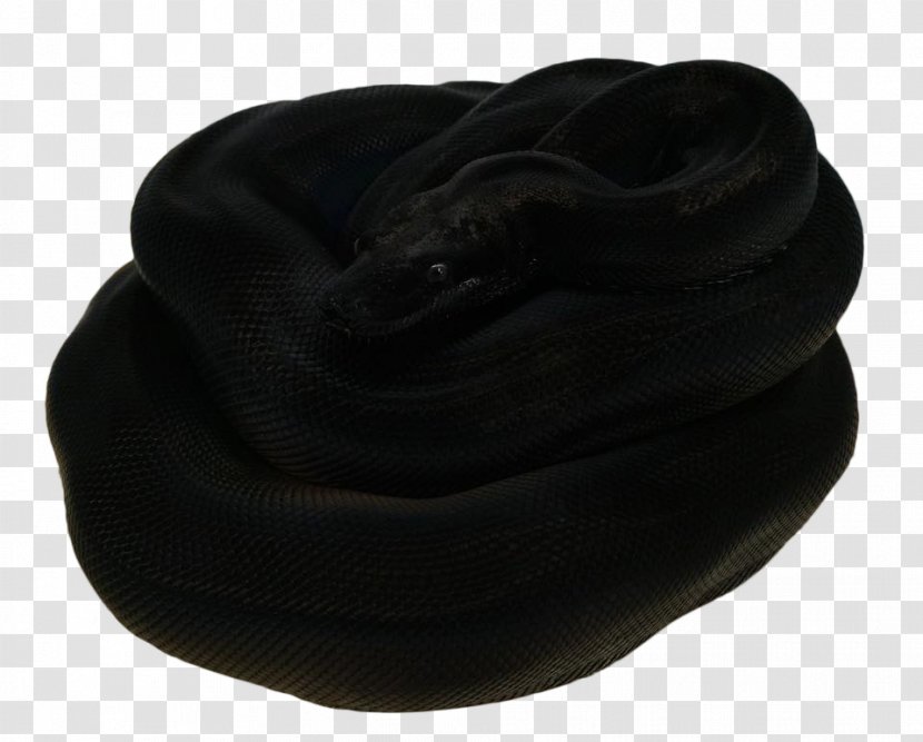 Headgear - Snake Head Transparent PNG