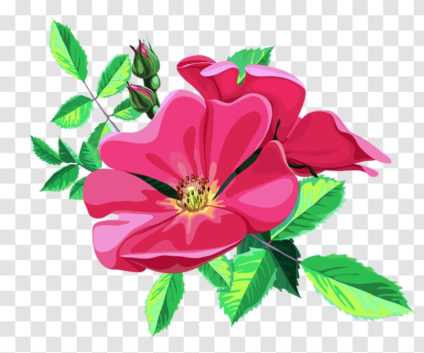 Flower Ornament Garden Roses Clip Art Transparent PNG