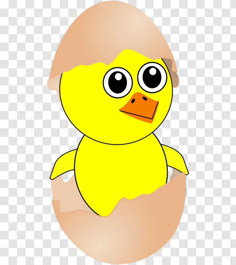 Chicken Bird Egg Clip Art - Yellow Transparent PNG