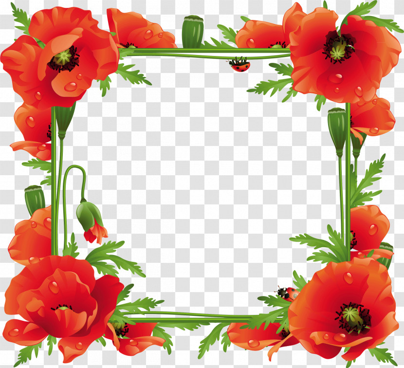 Poppy Frame Flower Frame Floral Frame Transparent PNG