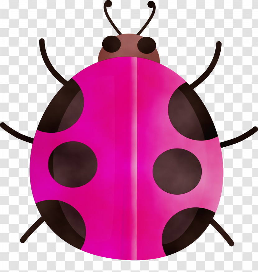Pink Insect Magenta Beetle Pest Transparent PNG