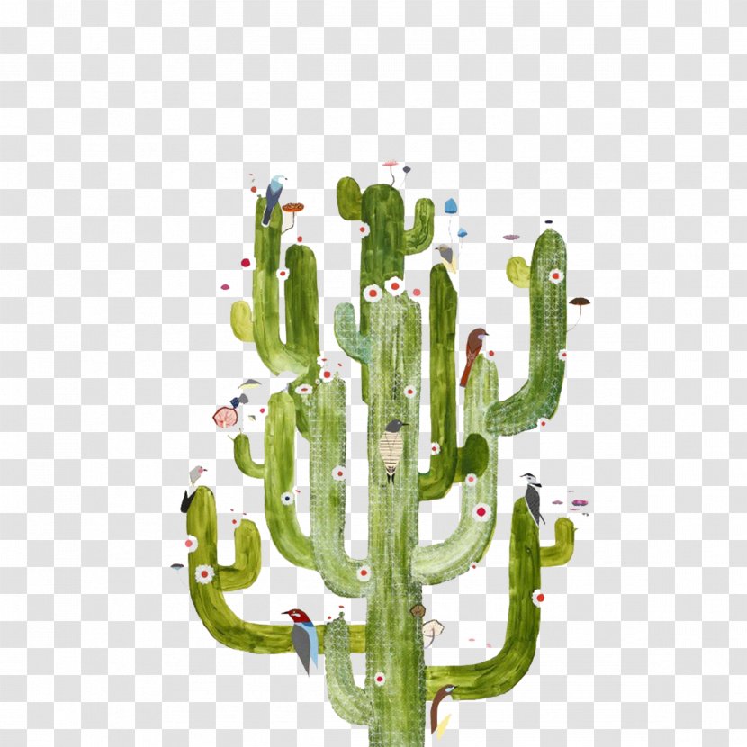 T-shirt Cactaceae Gouache Succulent Plant Illustration - Pen - Cactus Transparent PNG