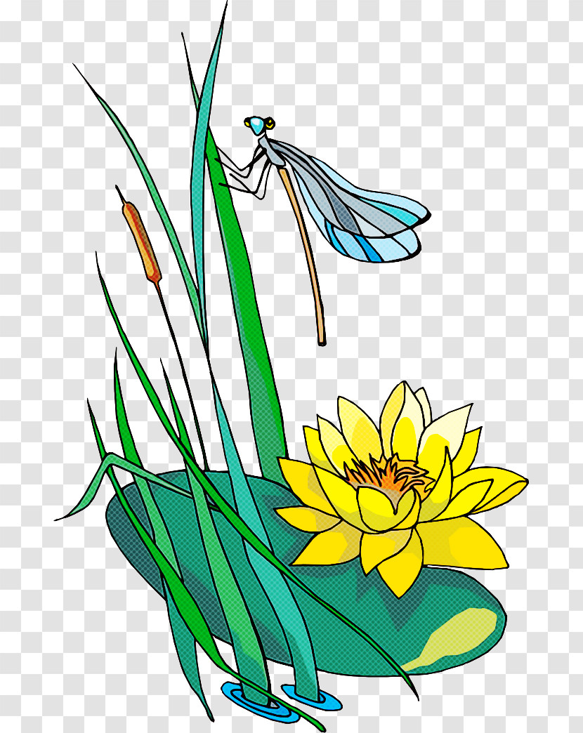 Plant Flower Yellow Grass Coloring Book Transparent PNG