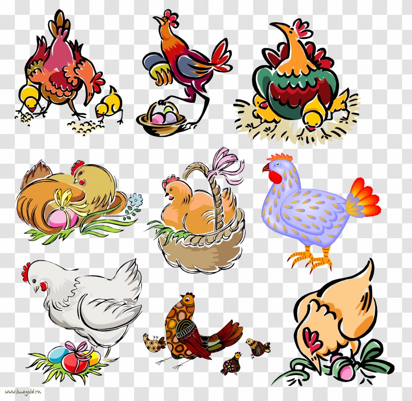 Rooster Chicken Drawing Clip Art - Organism Transparent PNG