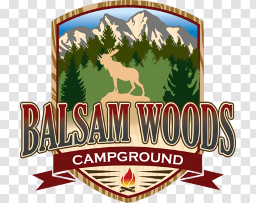 Balsam Woods Campground Campsite Caravan Park Campervans Moosehead Family - Label Transparent PNG