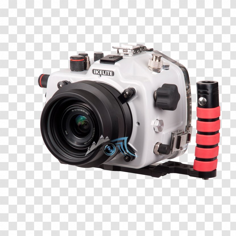 Sony α7R II Alpha 7S 7R α7S - Underwater Photography - Camera Transparent PNG