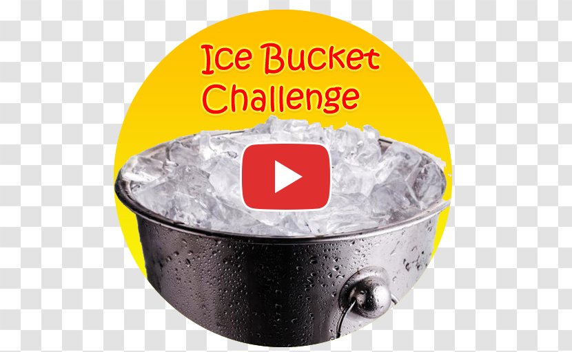 Stock Photography Royalty-free Image Illustration Ice Bucket Challenge - Pets Transparent PNG