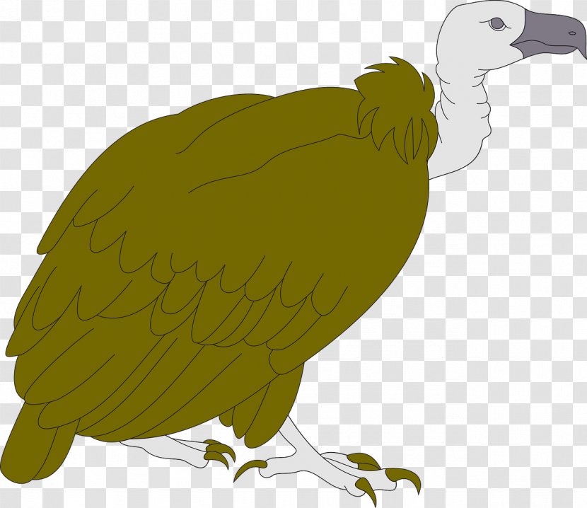 Bird Turkey Vulture Clip Art - Running Ostrich Transparent PNG
