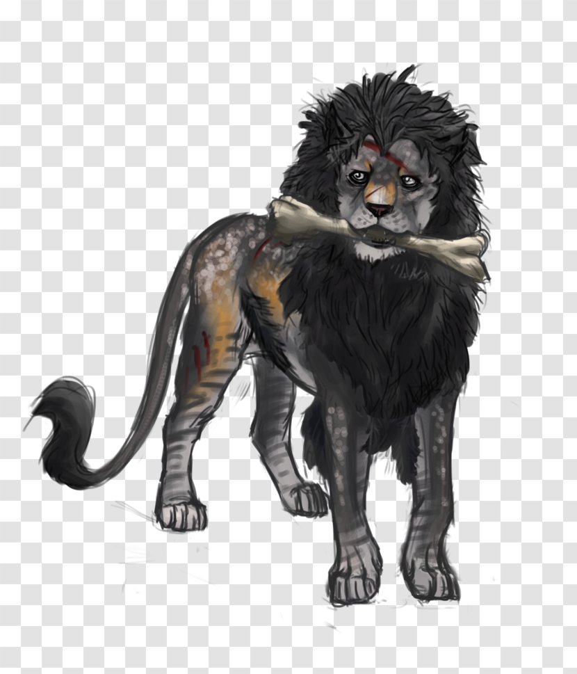 Lion Wildlife Roar Fur Terrestrial Animal - Carnivoran Transparent PNG