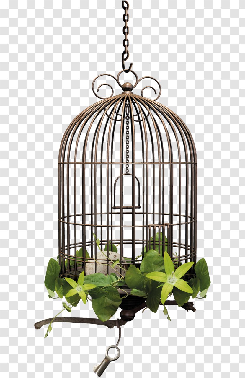 Cage Bird Ptycha Clip Art - Metal Transparent PNG