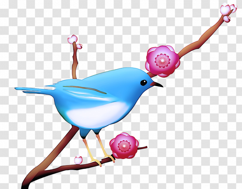 Bird Pink Branch Beak Perching Bird Transparent PNG