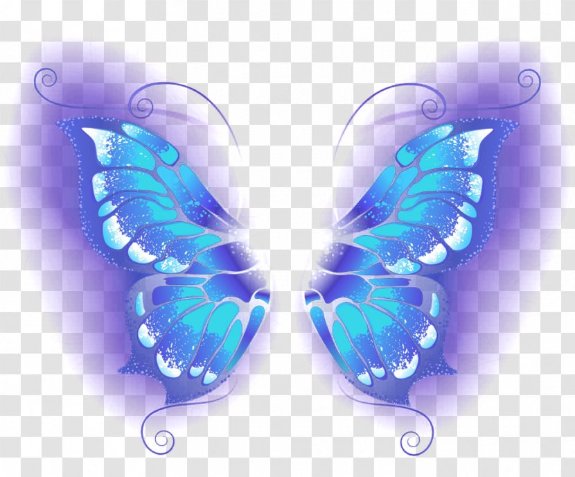 Butterfly Blue Wallpaper - Moths And Butterflies - Beautiful Transparent PNG