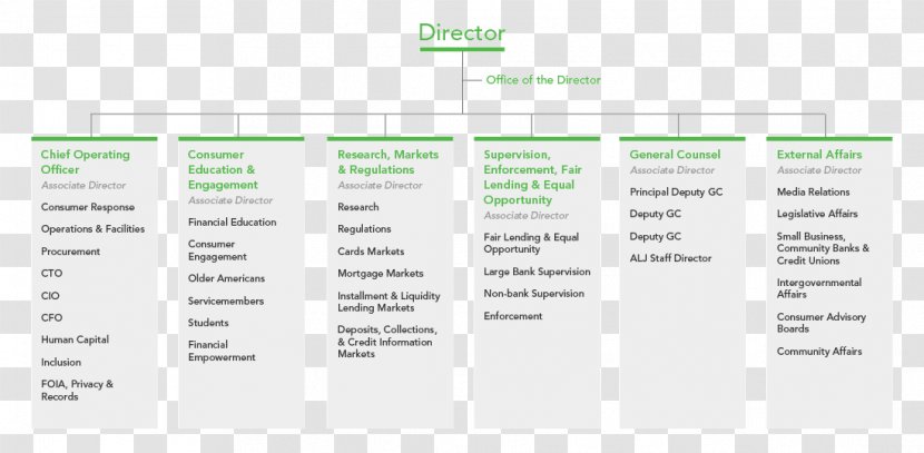 Diagram Brand Line Font - Area - Organization Chart Transparent PNG