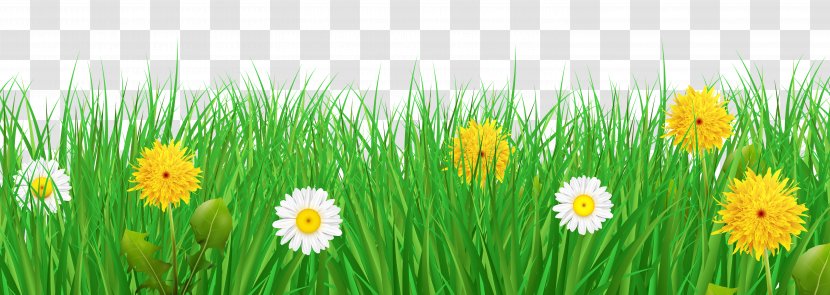 Flower Clip Art - Plant - Grass And Flowers Transparent Image Transparent PNG