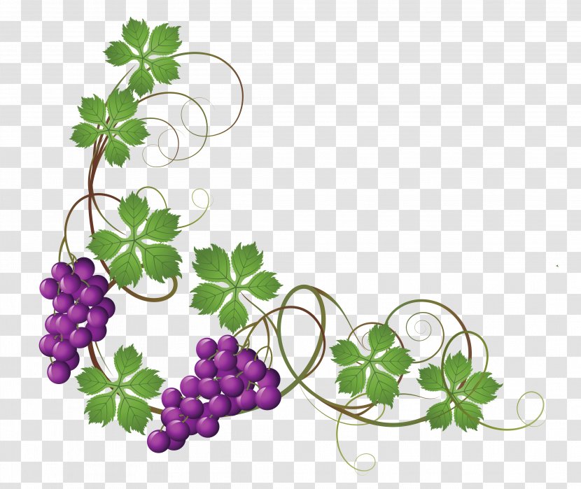 Common Grape Vine Wine Leaves Clip Art - Flower - Cliparts Transparent PNG