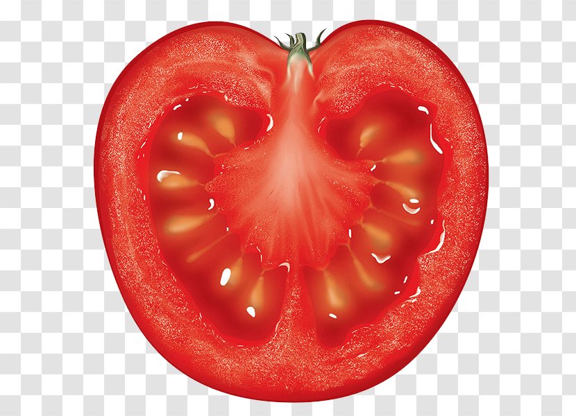Tomato Auglis Fruit Vegetable Berry - Cartoon - Cut Tomatoes Transparent PNG
