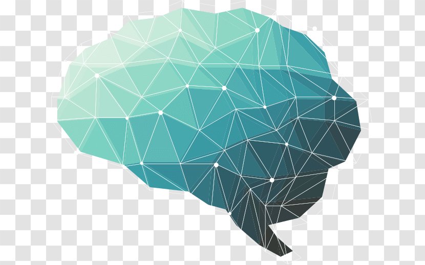 The Female Brain Human Polygon Head Transparent PNG