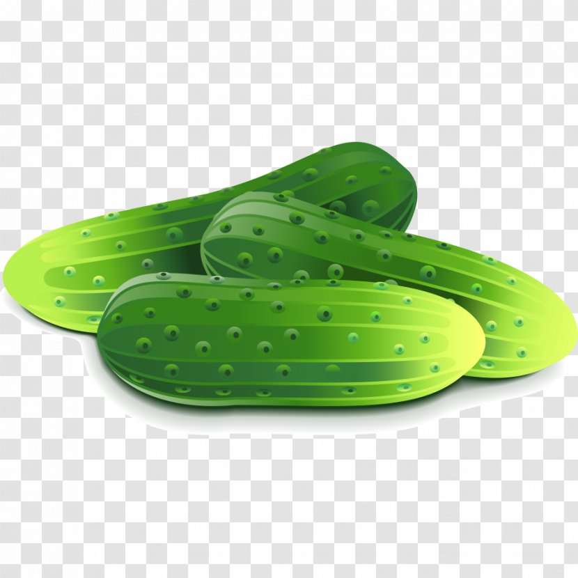 Pickled Cucumber Vegetable Fruit - Gourd And Melon Family Transparent PNG