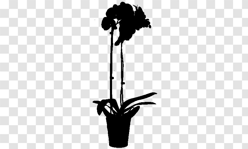 Flowering Plant Stem Silhouette Plants - Amaryllis Belladonna Transparent PNG