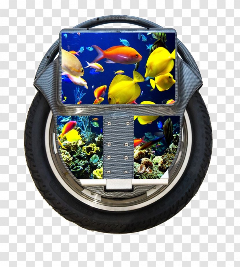 Coral Reef Fish Ocean Sea - Electric Blue Transparent PNG