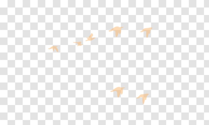 Area Angle Pattern - Rectangle - Flying Bird Transparent PNG