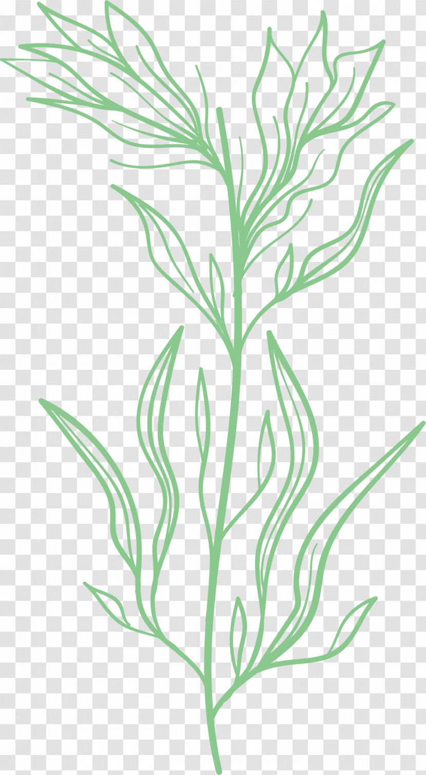 Simple Leaf Simple Leaf Drawing Simple Leaf Outline Transparent PNG