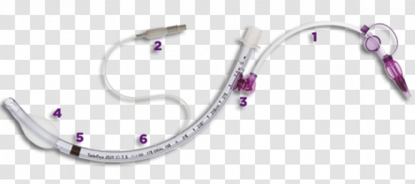 Tracheal Tube Intubation Suction Subglottic Stenosis - Recreation - Subglottis Transparent PNG