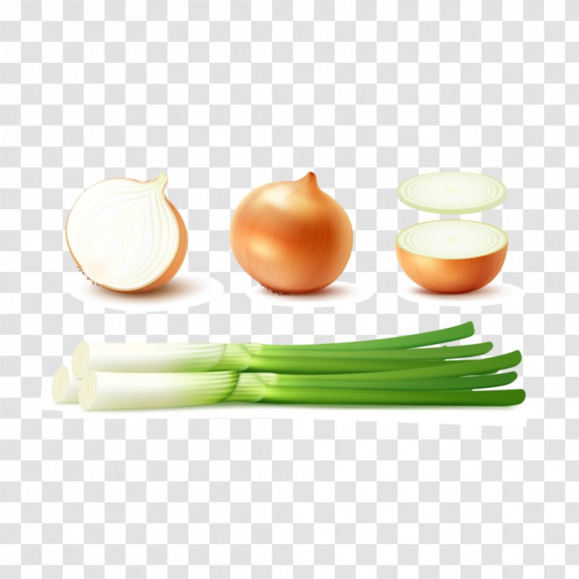 Shallot Potato Onion Yellow Red - Ceramic - Vegetables Transparent PNG
