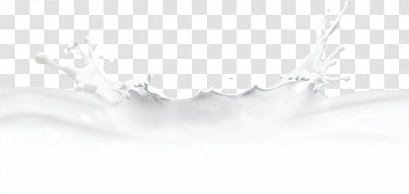 Paper White Brand - Monochrome Photography - Spilled Milk Transparent PNG
