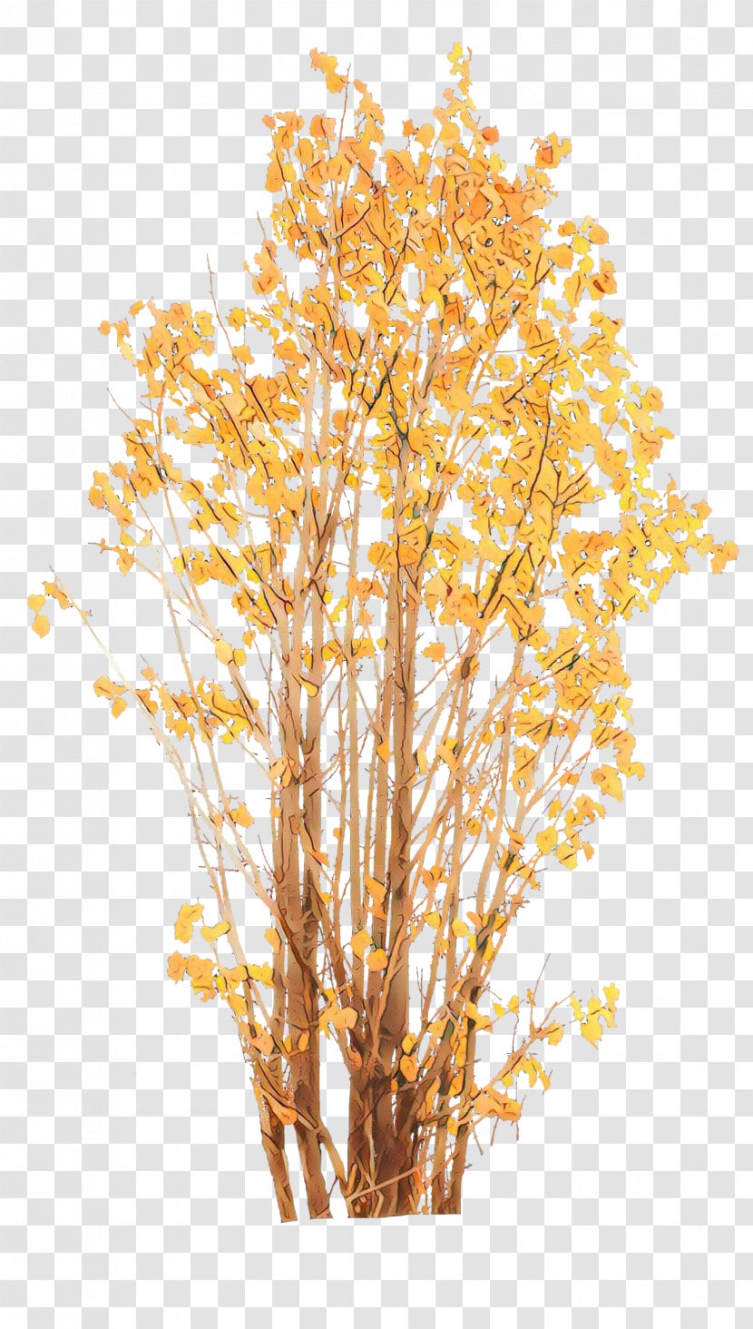Tree Yellow Branch Plant Woody - Birch Flower Transparent PNG