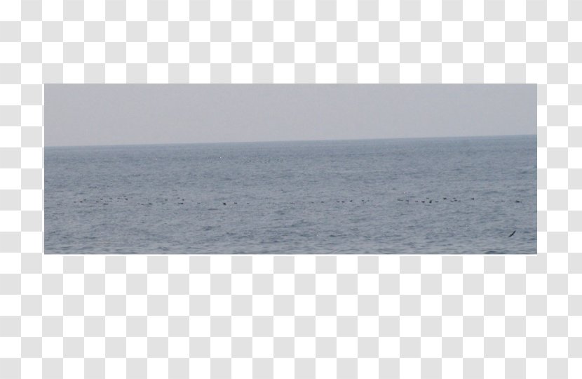 Sea - Horizon - Machias Seal Island Transparent PNG