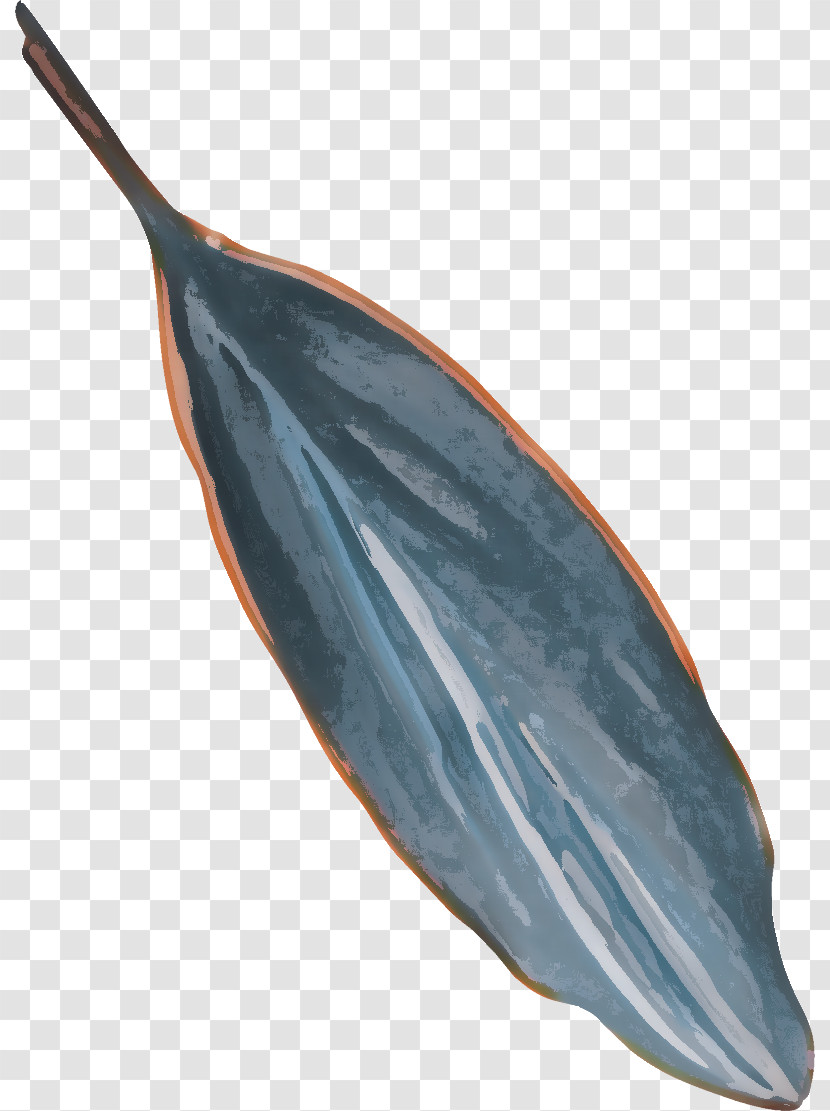 Leaf Plant Stem Boat Cartoon Drawing Transparent PNG