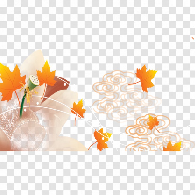 Petal Text Illustration - Orange - Maple Autumn Decoration Transparent PNG