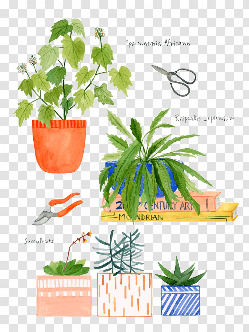 Watercolor Painting Drawing Illustration Art - Plant Transparent PNG