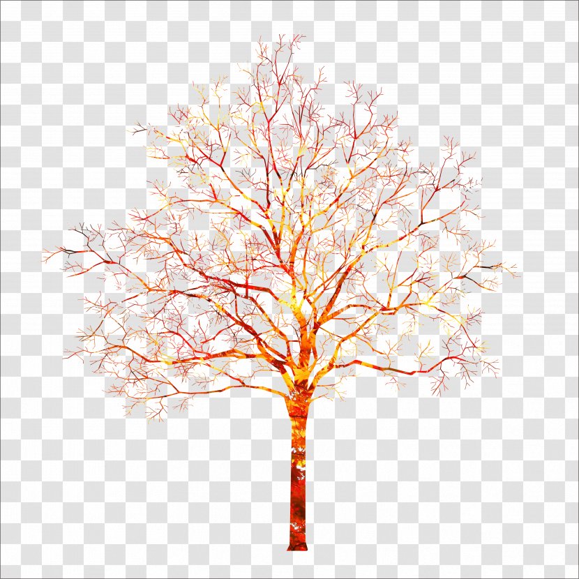 Autumn Tree - Plant - Leaf Transparent PNG