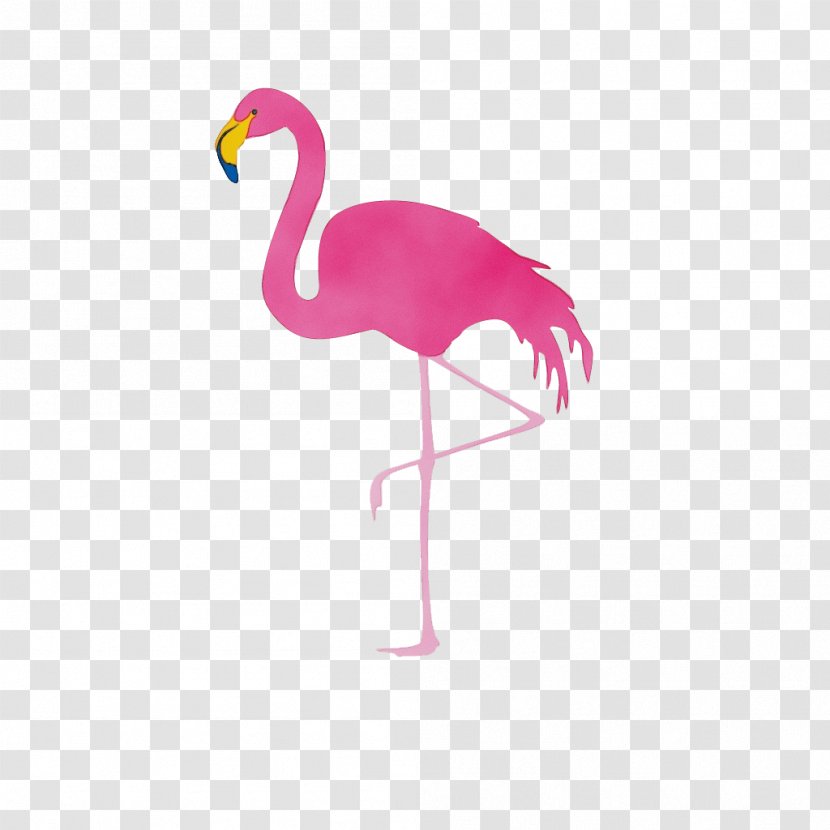 Flamingo Vector Graphics Clip Art Illustration - Cranelike Bird - Istock Transparent PNG